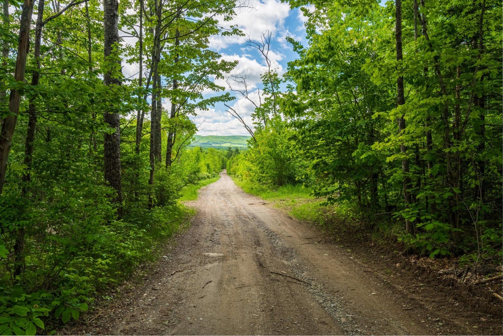 Photo of M10L30 Troy Center Road, Dixmont, ME 04932 (MLS # 1666284)