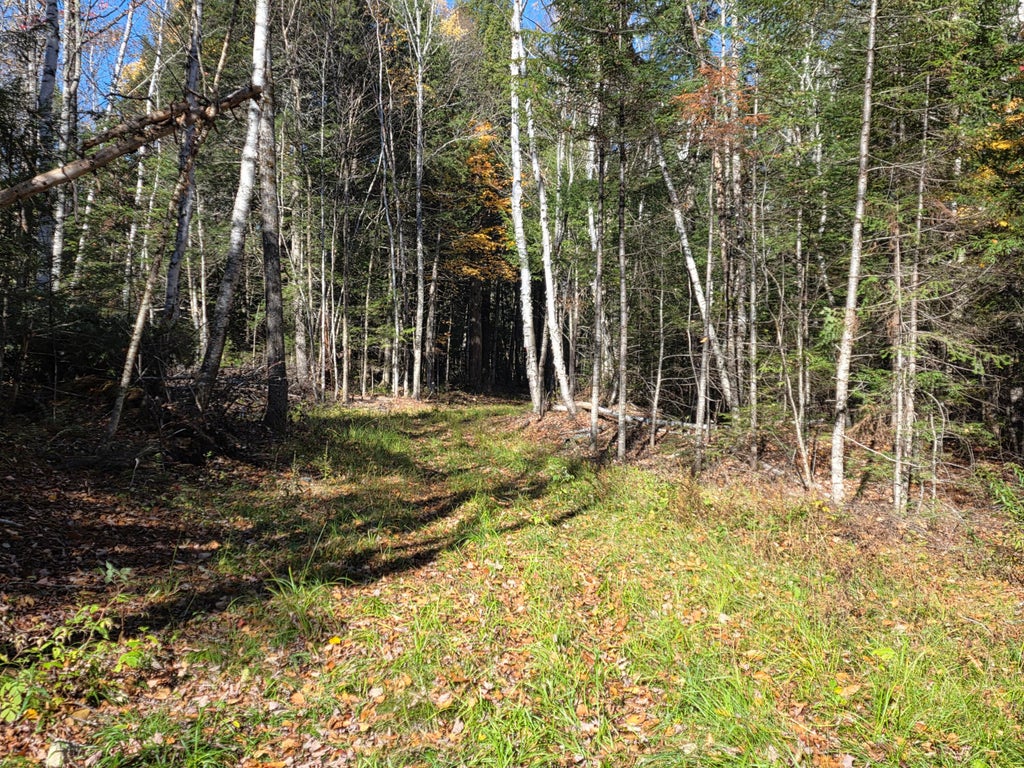 Photo of 00 casey Road, Herseytown Twp, ME 04733 (MLS # 1685176)