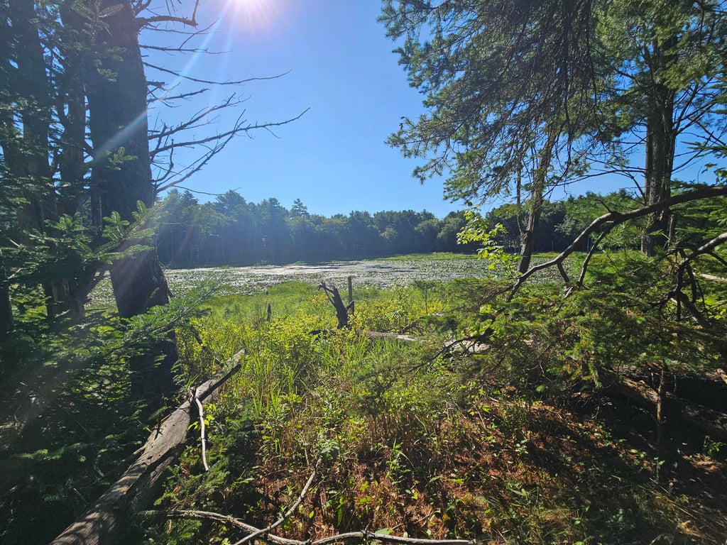Photo of 105-26 Back Eighty Road, Boothbay, ME 04537 (MLS # 1666431)