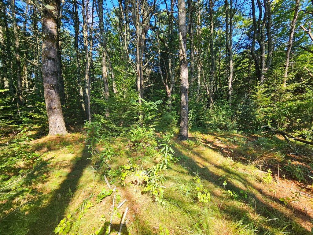 Photo of 105-26 Back Eighty Road, Boothbay, ME 04537 (MLS # 1666431)