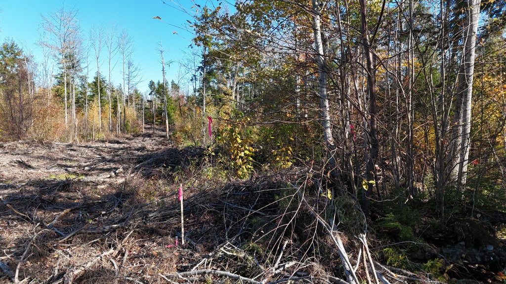 Photo of Lot 4 Long Pine Road, Woodville, ME 04457 (MLS # 1684975)
