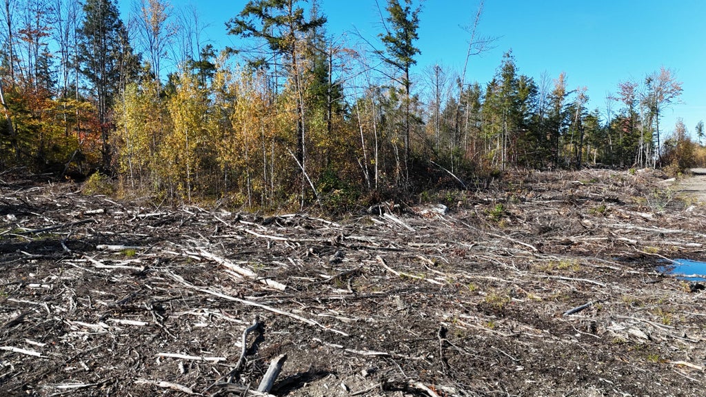 Photo of Lot 4 Long Pine Road, Woodville, ME 04457 (MLS # 1684975)