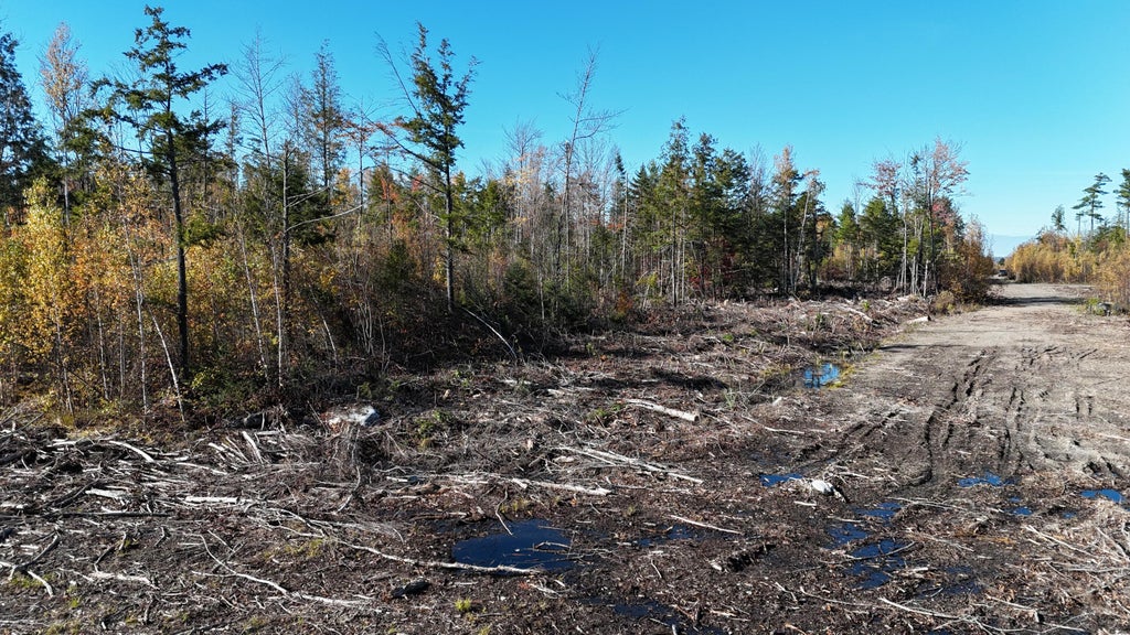 Photo of Lot 4 Long Pine Road, Woodville, ME 04457 (MLS # 1684975)