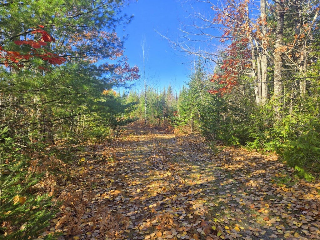 Photo of Lot 1A East Madrid Road, Phillips, ME 04966 (MLS # 1685401)