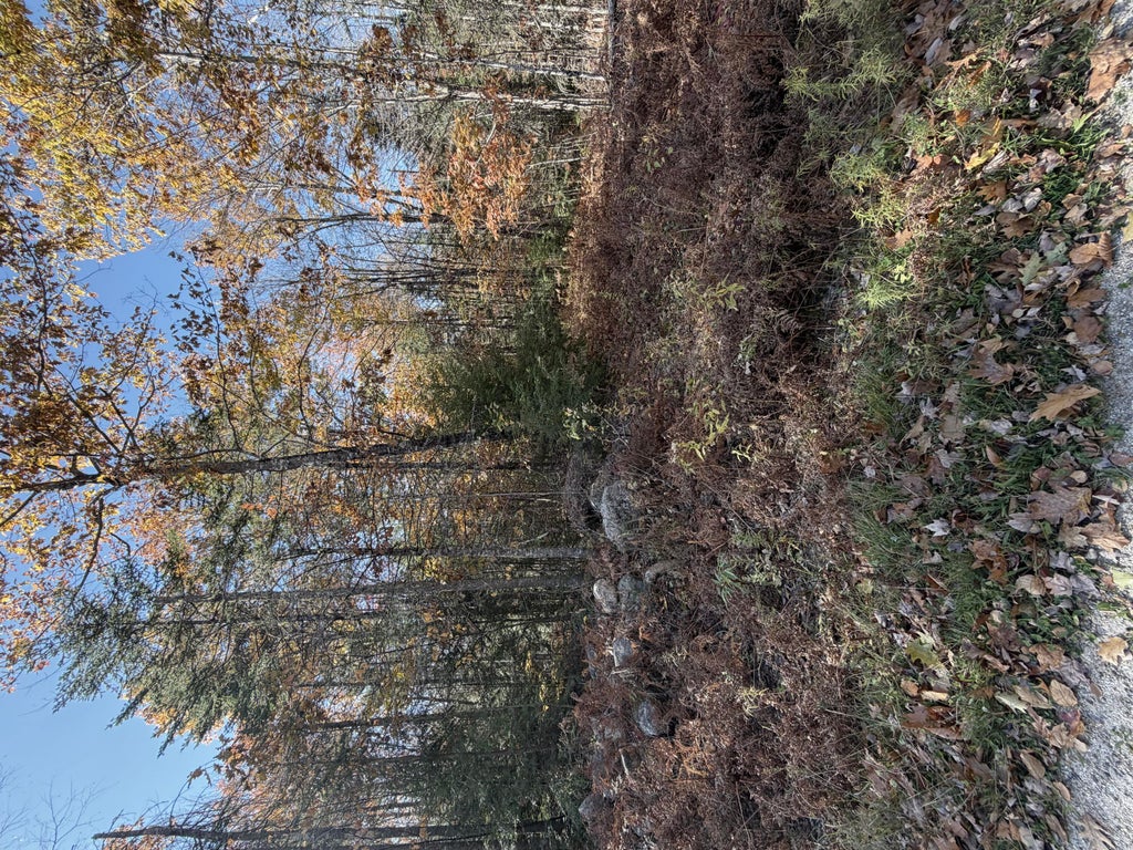 Photo of 22 Taylor Woods Road, Bethel, ME 04217 (MLS # 1686283)