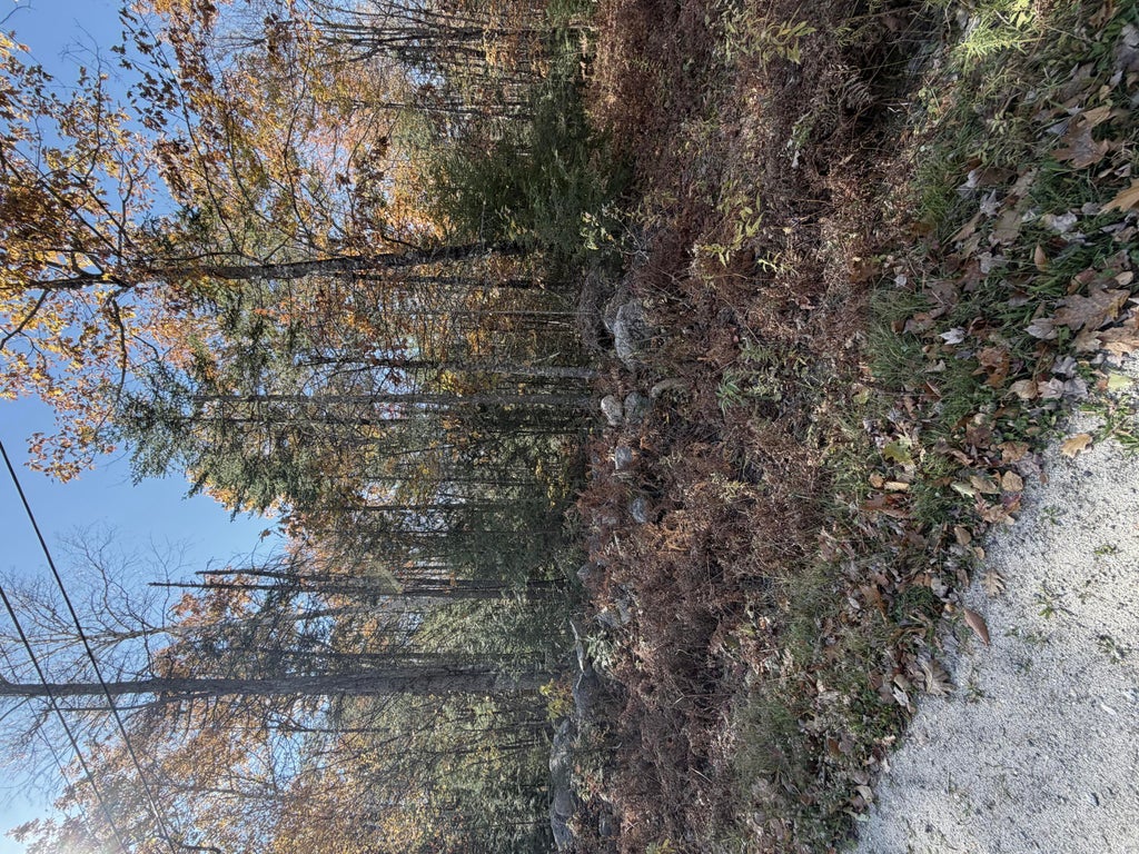 Photo of 22 Taylor Woods Road, Bethel, ME 04217 (MLS # 1686283)