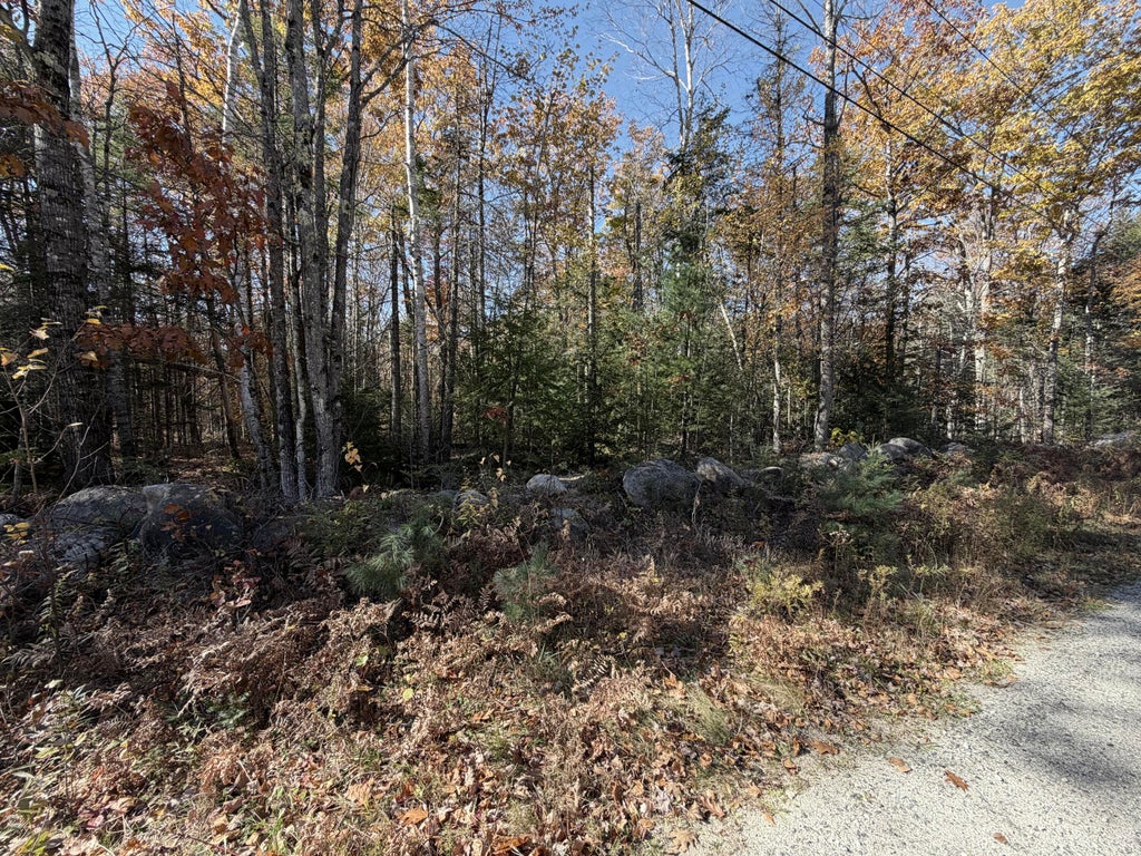Photo of 22 Taylor Woods Road, Bethel, ME 04217 (MLS # 1686283)
