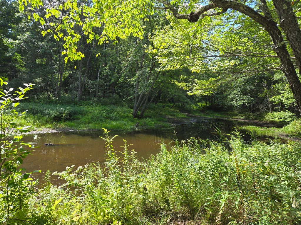Photo of Lot 8 East Andover Road, Andover, ME 04216 (MLS # 1677373)