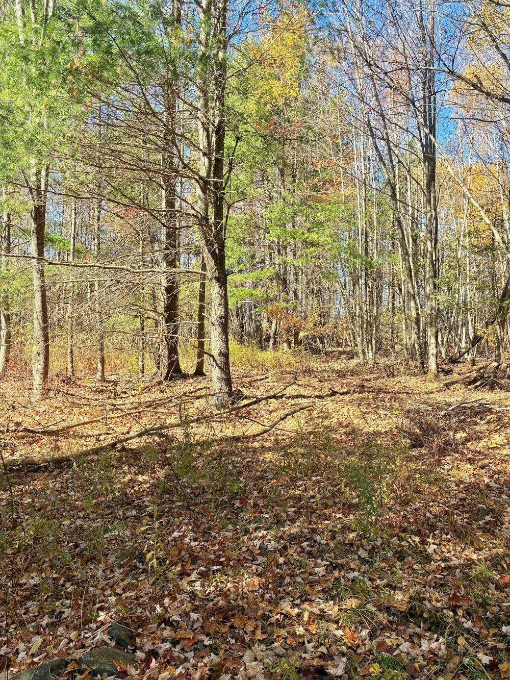 Photo of M 5-L30-1 Seamon Road, Farmington, ME 04938 (MLS # 1685241)