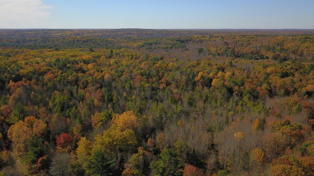 Photo of Lot # 51-B Washington Road, Waldoboro, ME 04572 (MLS # 1685504)