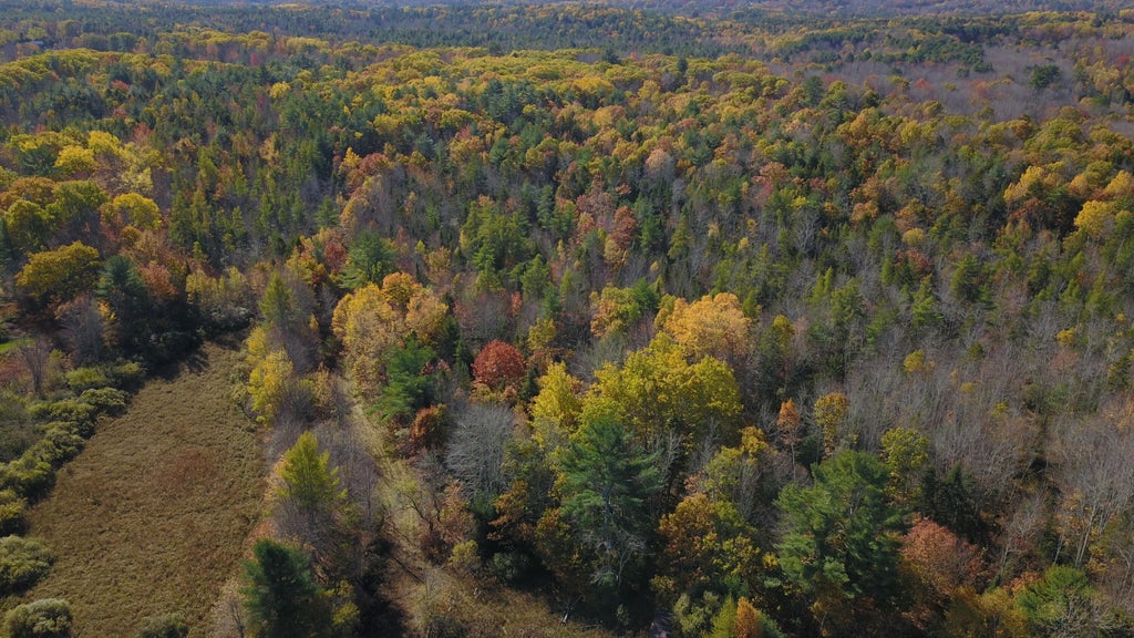 Photo of Lot # 51-B Washington Road, Waldoboro, ME 04572 (MLS # 1685504)