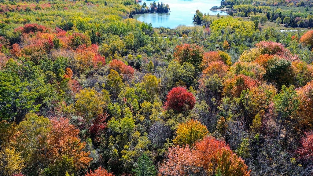 Photo of M15L16-1 Basin Road, Addison, ME 04606 (MLS # 1685591)