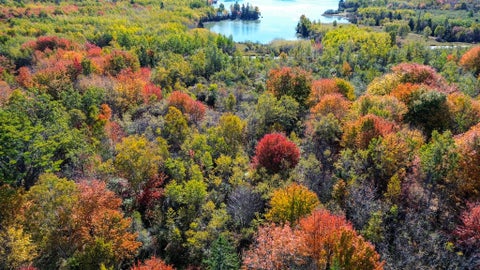 Photo of M15L16-1 Basin Road, Addison, ME 04606 (MLS # 1685591)