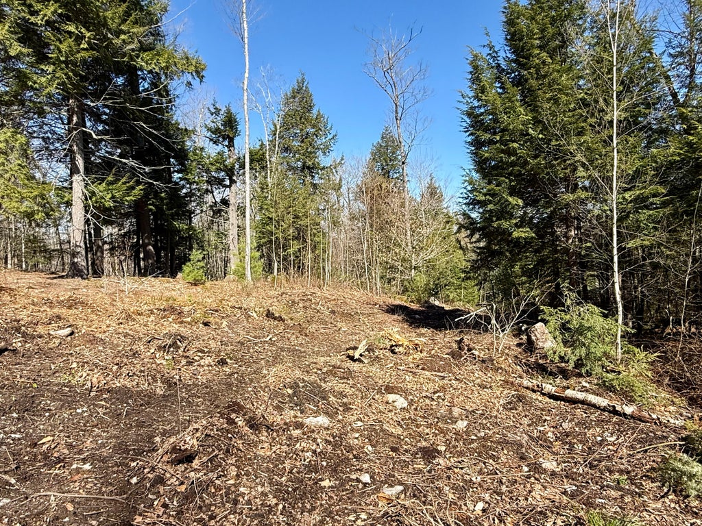 Photo of Map8Lot53B Buckfield Road, Paris, ME 04271 (MLS # 1660259)