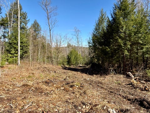 Photo of Map8Lot53B Buckfield Road, Paris, ME 04271 (MLS # 1660259)