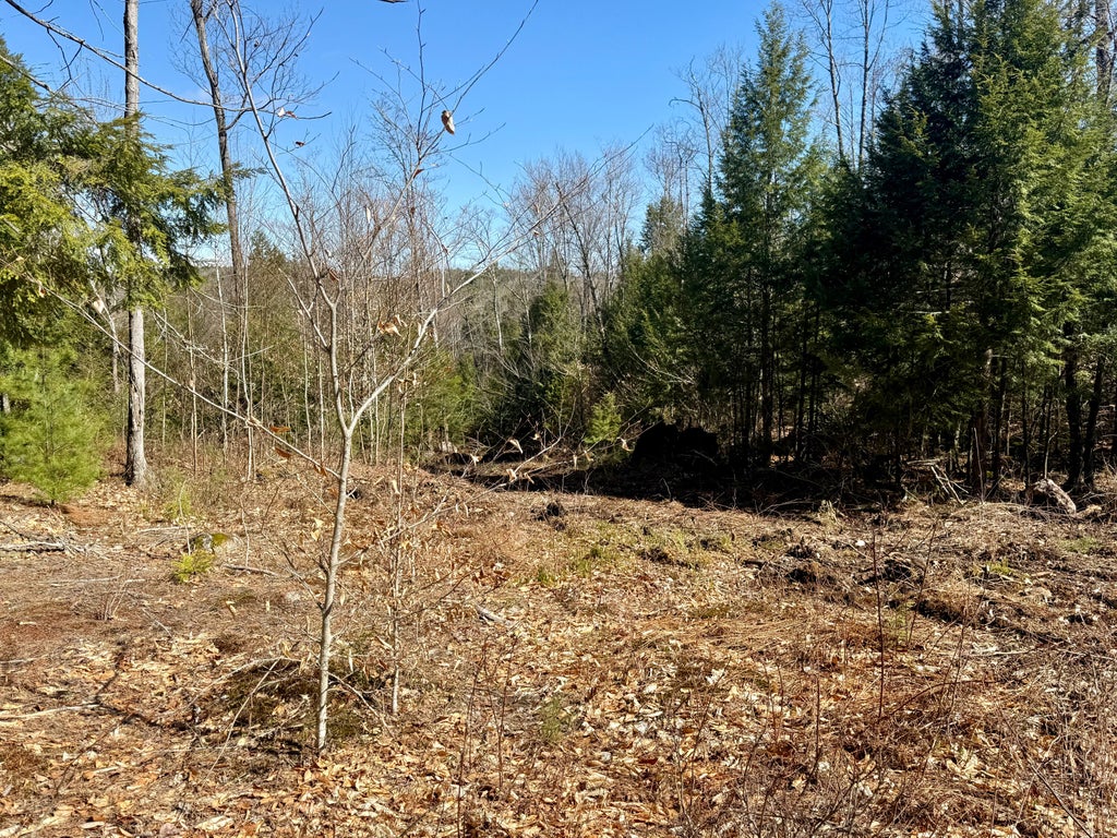 Photo of Map8Lot53B Buckfield Road, Paris, ME 04271 (MLS # 1660259)