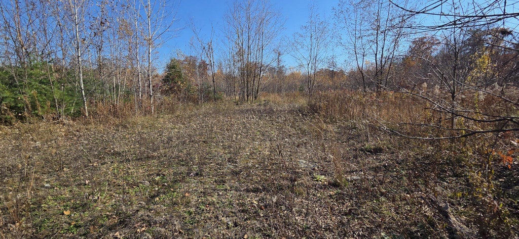 Photo of M8 L20E Perkins Road, Burnham, ME 04922 (MLS # 1686326)