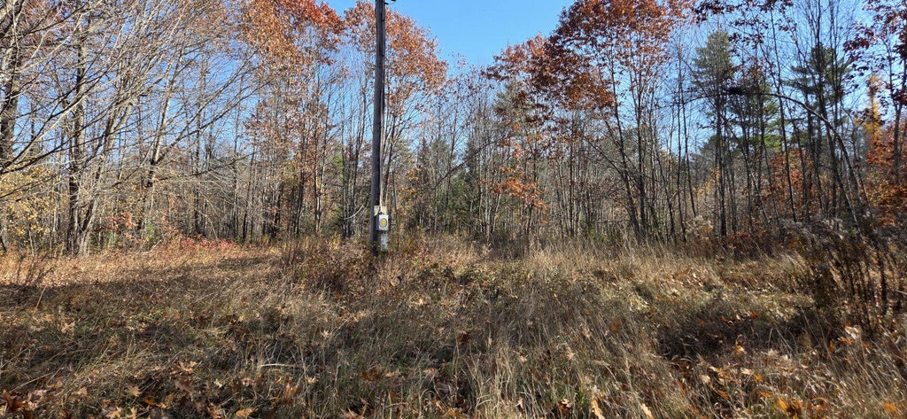 Photo of M8 L20E Perkins Road, Burnham, ME 04922 (MLS # 1686326)
