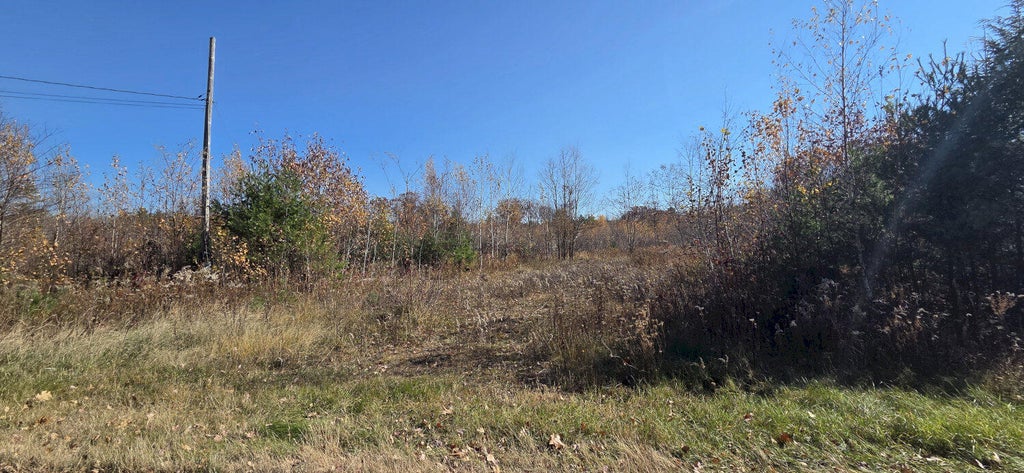 Photo of M8 L20E Perkins Road, Burnham, ME 04922 (MLS # 1686326)