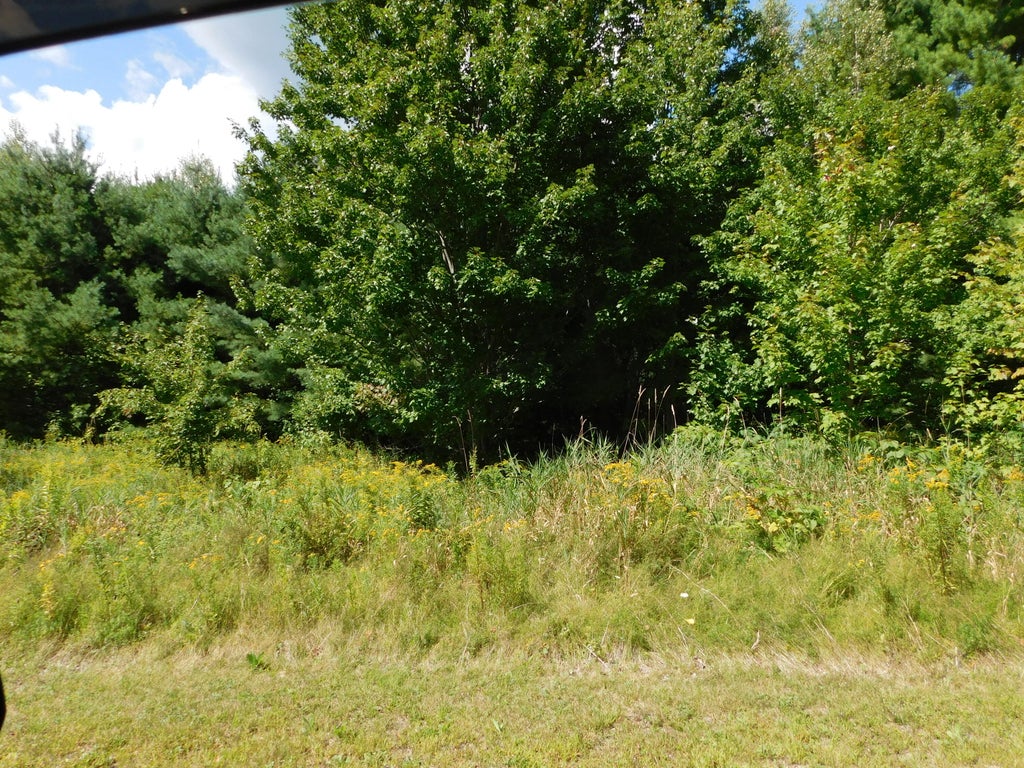 Photo of 29 Robinson Boulevard, Medway, ME 04460 (MLS # 1681124)