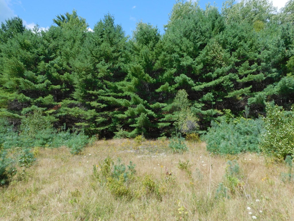 Photo of 29 Robinson Boulevard, Medway, ME 04460 (MLS # 1681124)