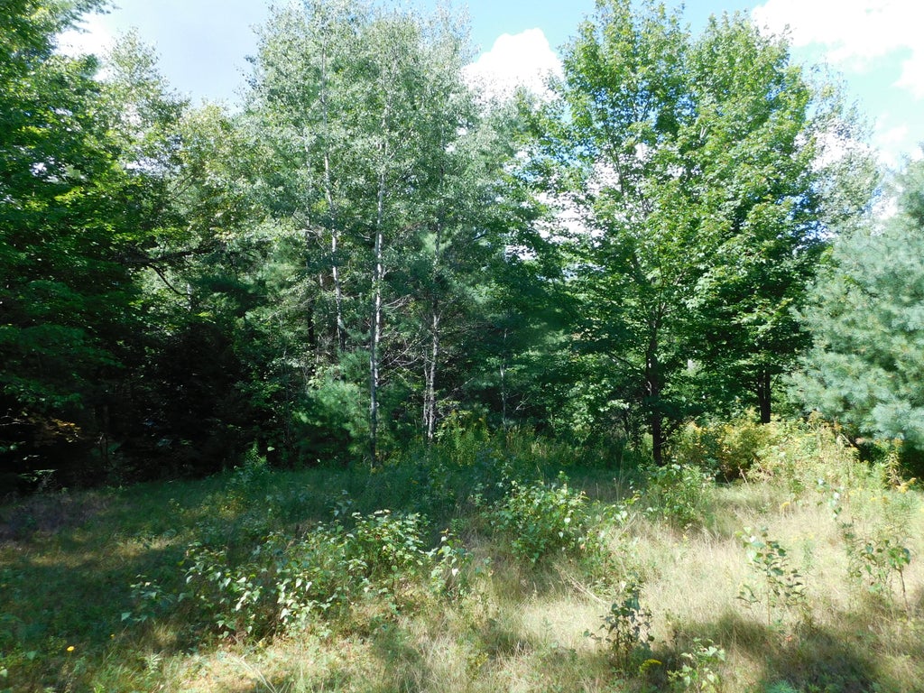Photo of 29 Robinson Boulevard, Medway, ME 04460 (MLS # 1681124)