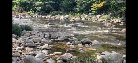 Photo of 1450 Roxbury Road, Roxbury, ME 04275 (MLS # 1667350)