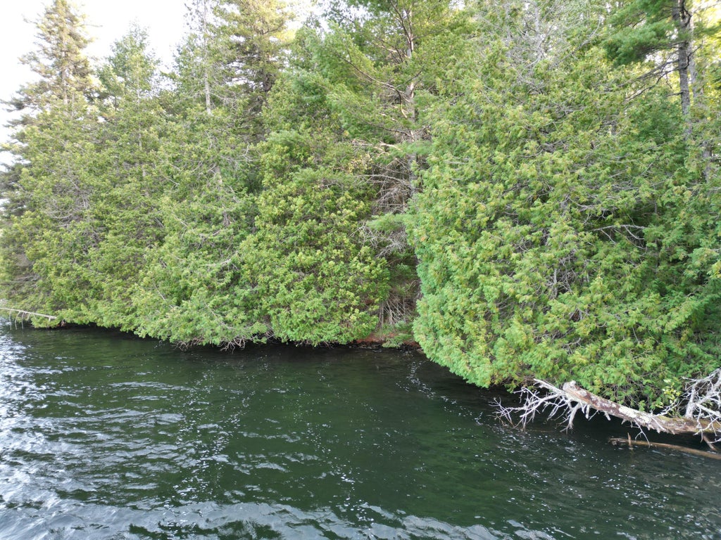 Photo of Lot 1 Off North Shore Road, Lake View Plt, ME 04463 (MLS # 1680508)