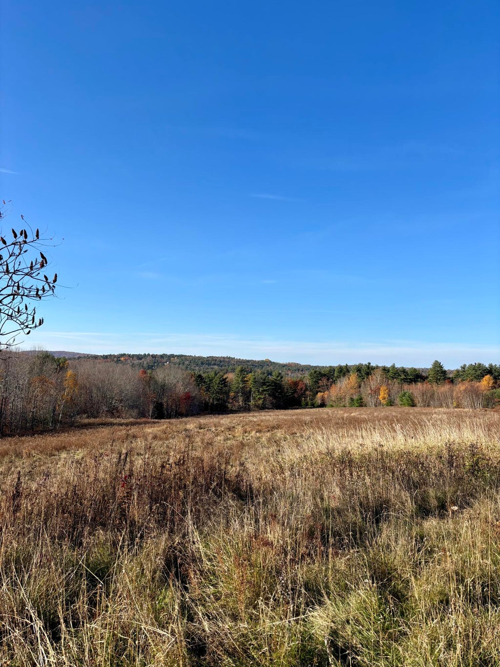 Photo of 206 Upper Long Pond Road, Bucksport, ME 04416 (MLS # 1686244)