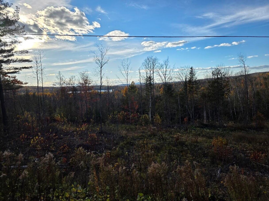 Photo of Lot 3 Brown Road, Oakfield, ME 04763 (MLS # 1686160)