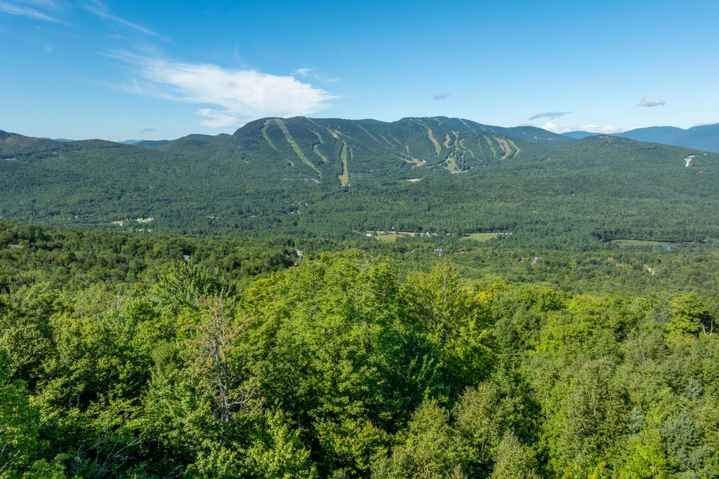 Photo of 0 Pinnacle Drive, Newry, ME 04261 (MLS # 1680533)