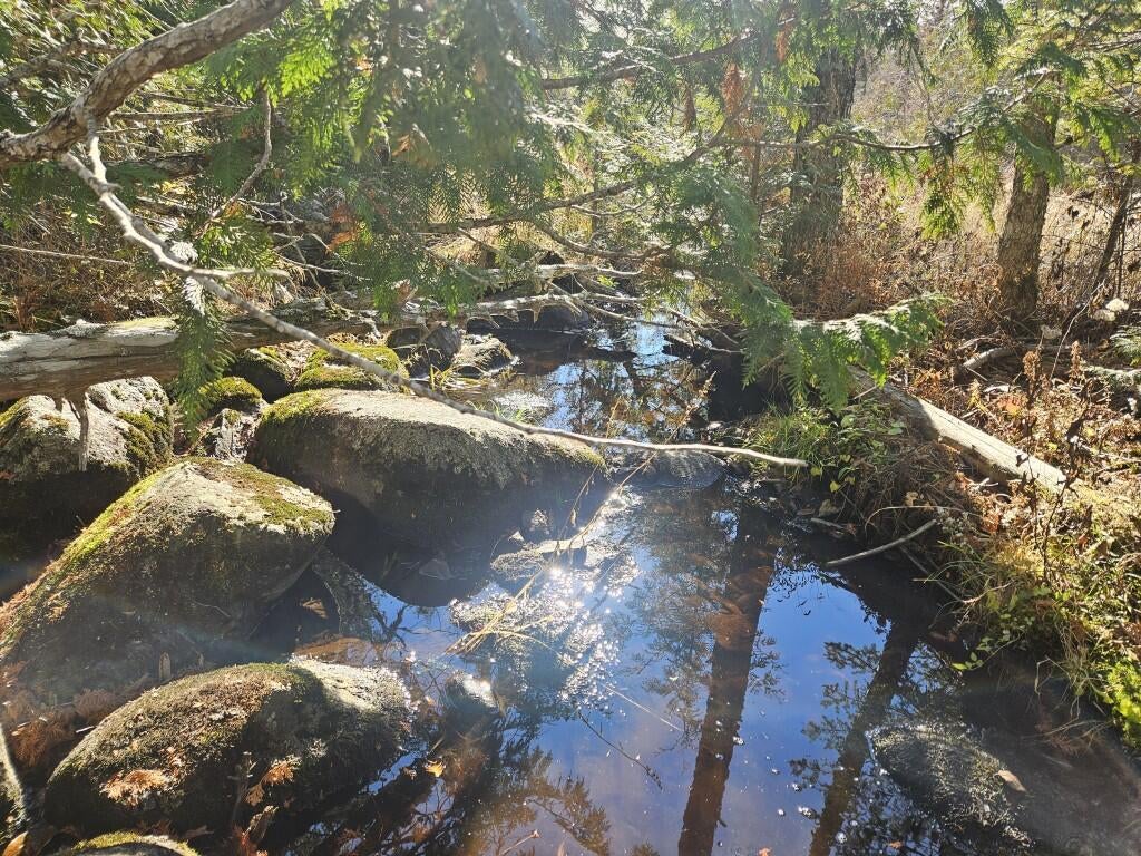 Photo of 0 Pease Road, Cambridge, ME 04923 (MLS # 1686161)