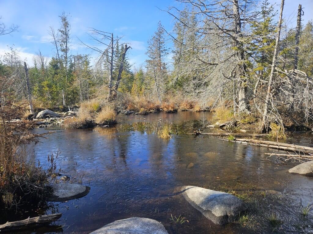 Photo of 0 Pease Road, Cambridge, ME 04923 (MLS # 1686161)
