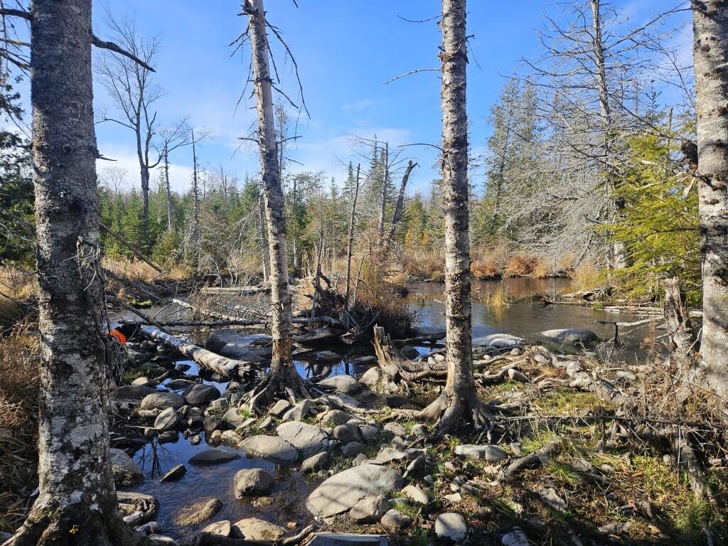 Photo of 0 Pease Road, Cambridge, ME 04923 (MLS # 1686161)