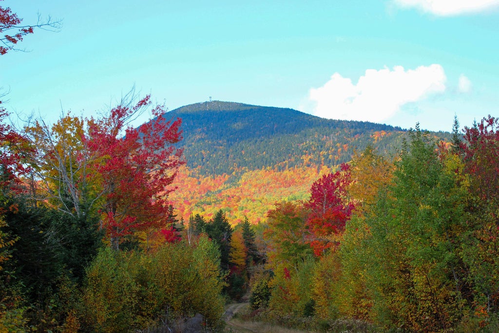 Photo of Lot C Chimney Rock, Temple, ME 04984 (MLS # 1681183)