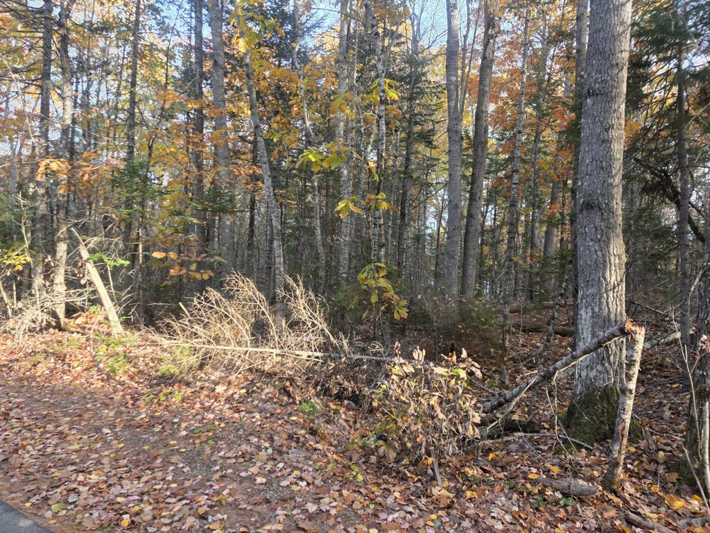 Photo of Lot 2 W Cider Mill Lane, Swanville, ME 04915 (MLS # 1685295)