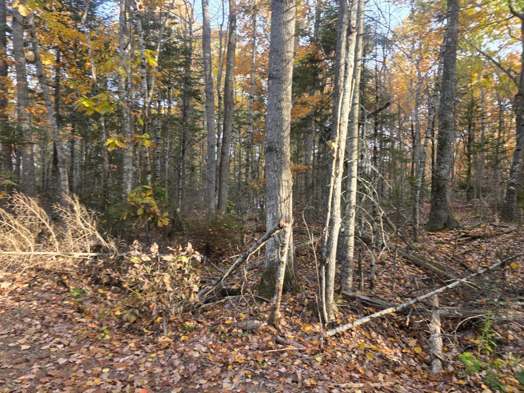 Photo of Lot 2 W Cider Mill Lane, Swanville, ME 04915 (MLS # 1685295)