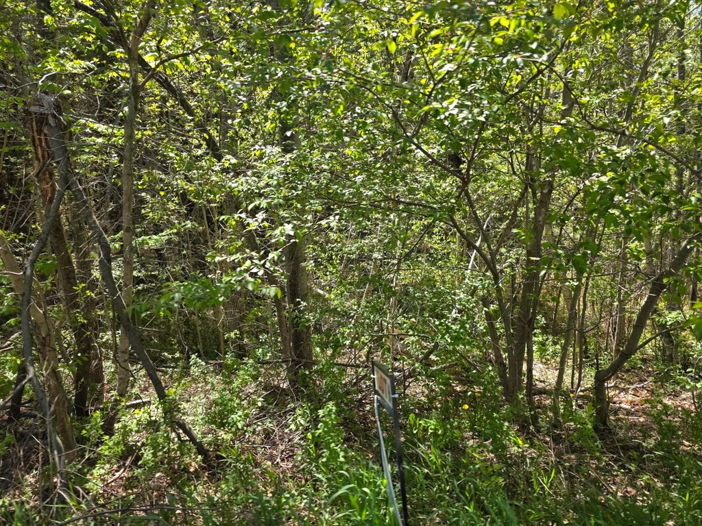 Photo of 6 Goose River Estates, Swanville, ME 04915 (MLS # 1663789)