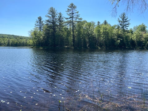 Photo of 117 Brown Road, Harmony, ME 04942 (MLS # 1666031)