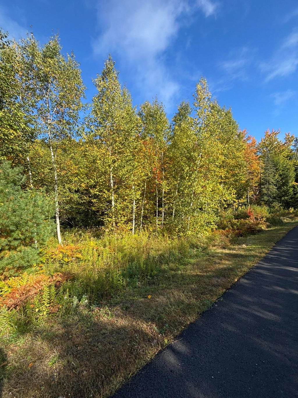 Photo of Lot #13 Pine Grove Lane, Etna, ME 04434 (MLS # 1682883)