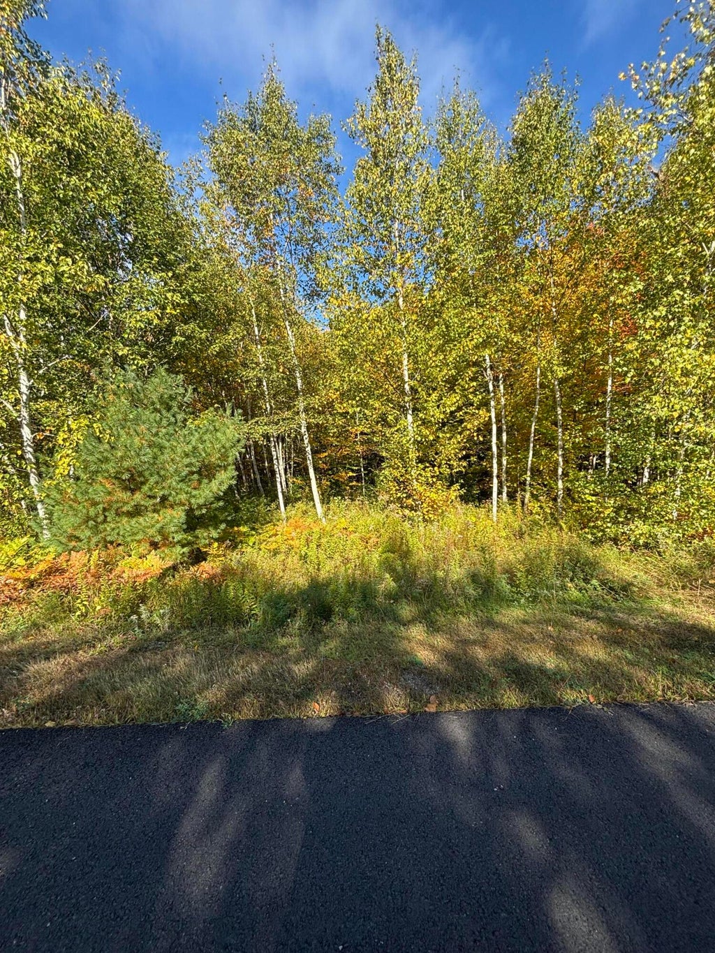 Photo of Lot #13 Pine Grove Lane, Etna, ME 04434 (MLS # 1682883)