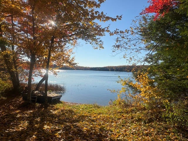 Photo of 196 Rocky Pond Heights, Orland, ME 04472 (MLS # 1685185)