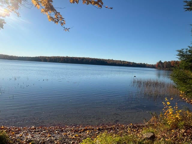 Photo of 196 Rocky Pond Heights, Orland, ME 04472 (MLS # 1685185)