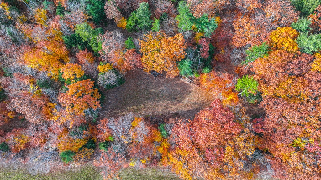 Photo of Lot #13A Staples Road, Waterford, ME 04088 (MLS # 1686176)