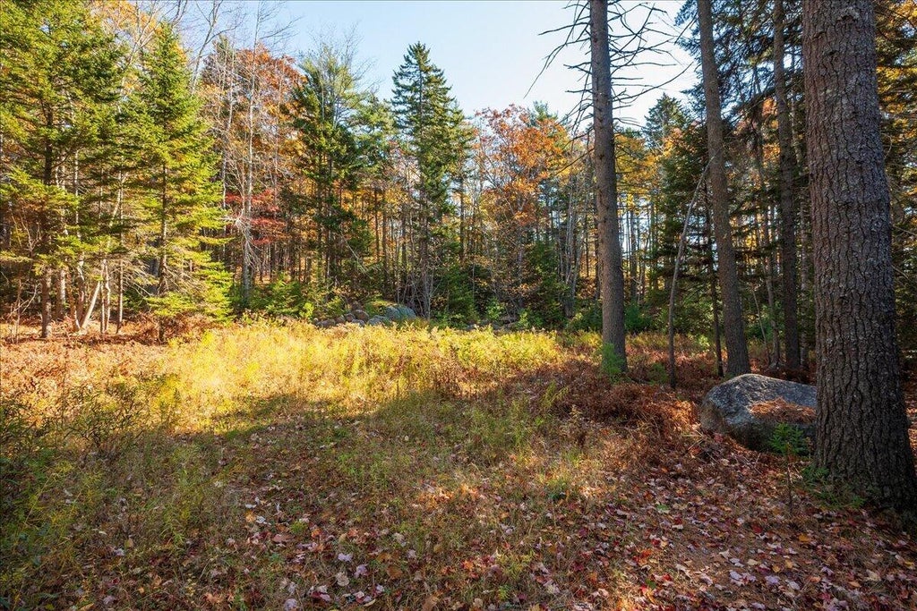 Photo of 77 Montgomery Road, Boothbay Harbor, ME 04538 (MLS # 1686336)