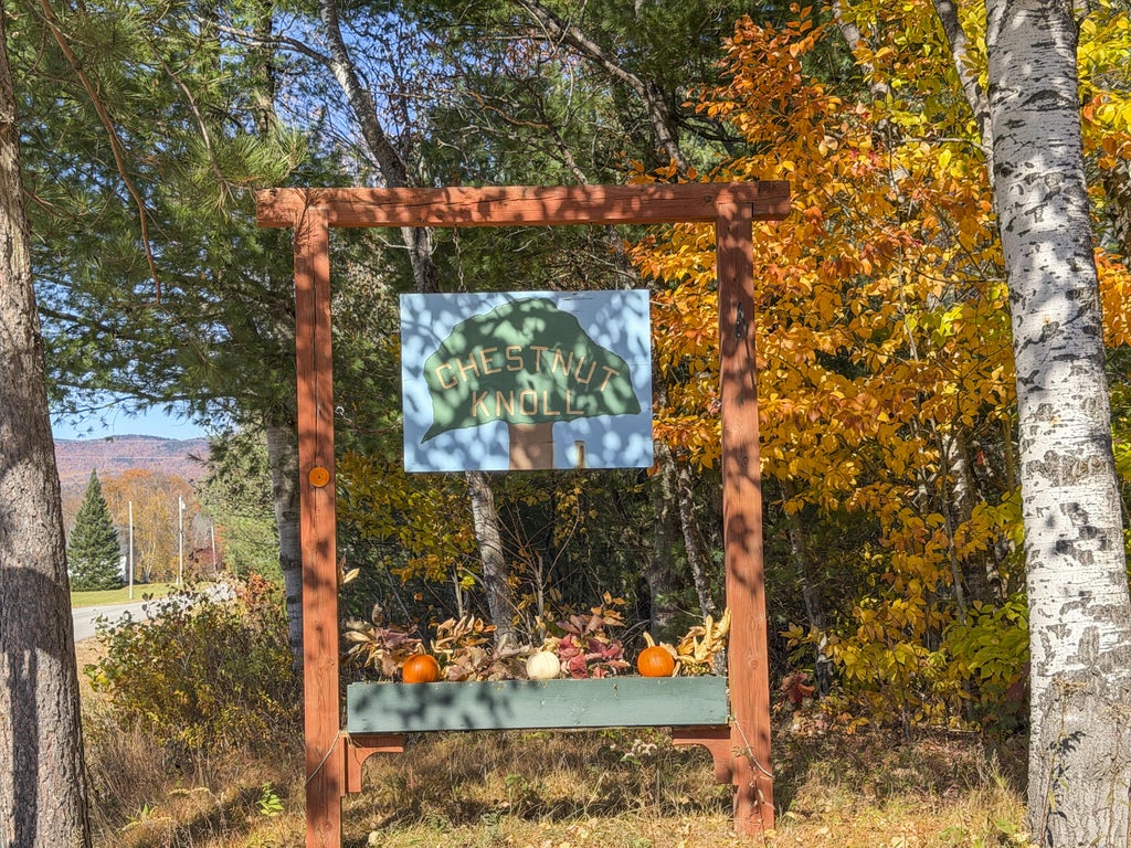 Photo of 189 Chestnut Knoll Road, Bethel, ME 04217 (MLS # 1683703)