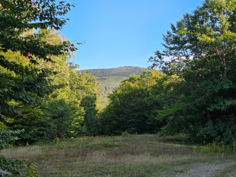 Photo of 1155 Dickvale Road, Peru, ME 04290 (MLS # 1680587)