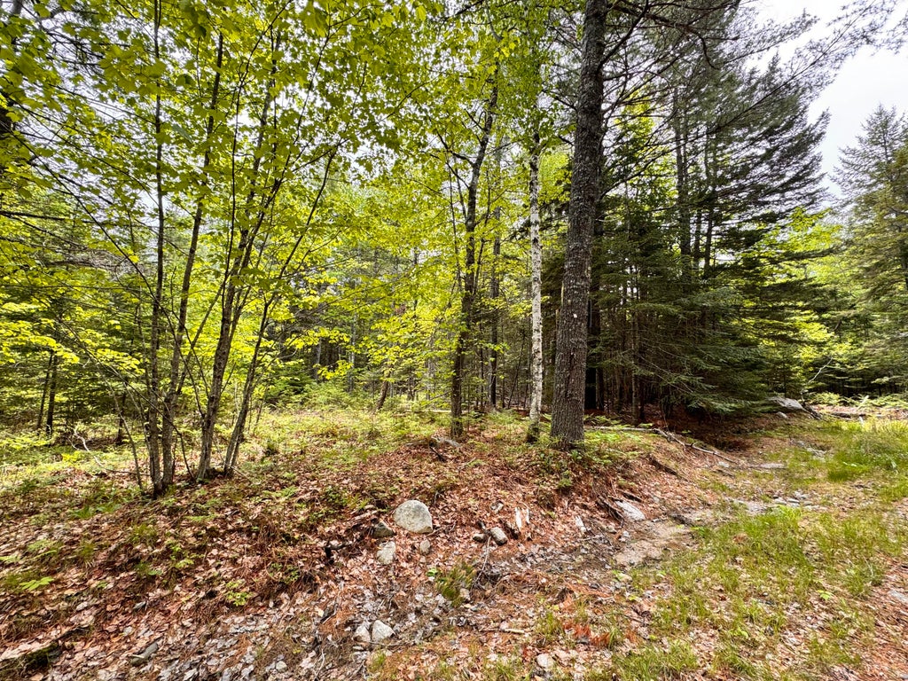 Photo of 18-B Back Pasture Lane, Blue Hill, ME 04614 (MLS # 1661551)