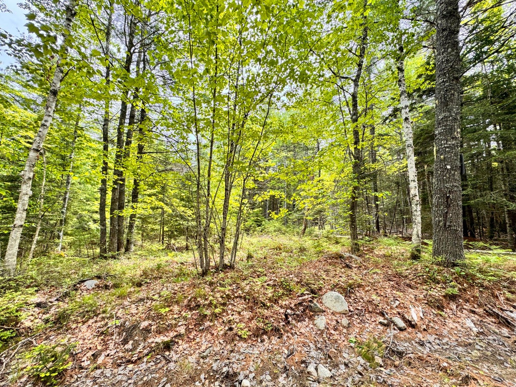 Photo of 18-B Back Pasture Lane, Blue Hill, ME 04614 (MLS # 1661551)