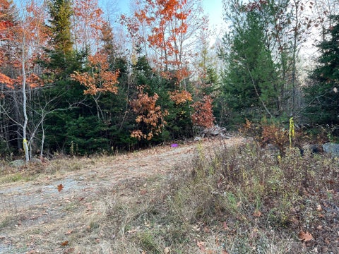 Photo of 26 Sunfish Lane, Surry, ME 04684 (MLS # 1686355)